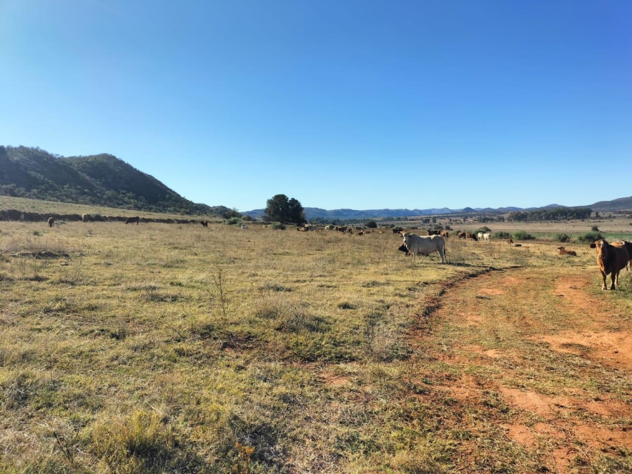 4 Bedroom Property for Sale in Vredefort Rural Free State